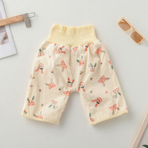 Baby Waterproof Potty Training Pant Skirt Night Time- Leak-Proof Training Pants for Nighttime Use Bayi 宝宝隔尿裙防水防漏戒尿不湿训练裤婴儿夜尿垫纯棉可洗尿裤兜A类
