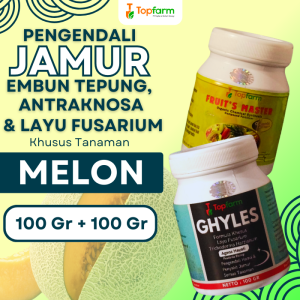 Fungisida Topfarm / Obat Hama Untuk Pohon Melon / Obat Daun Melon Keriting / Obat Jamur Akar Melon / Obat Buah Melon Terbaik / Obat Hama Tanaman Buah Melon / Obat Jamur Pada Tanaman Melon