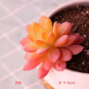 ART SUPPLIESX สดใส DIY มินิมอล การตกแต่งบ้าน พลาสติก พืชปลอม กระบองเพชร Succulents ประดิษฐ์