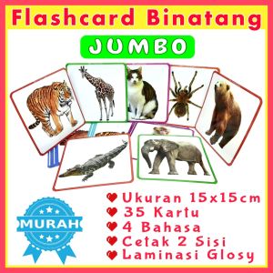 Flashcard JUMBO BINATANG 4 Bahasa Ukuran Besar Kartu Pintar Belajar Hewan Fauna Jumbo Flash Card Animal