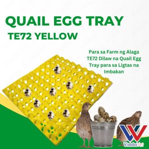 Quail Pugo Egg Tray Yellow for Animals Keep Eggs Organized 24 slot for Quail Egg Tray animals