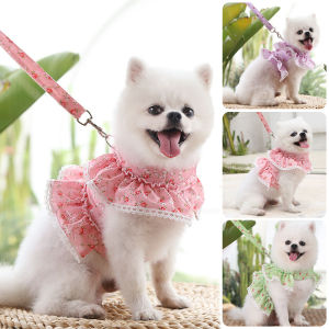 BC 1.2M Pet Leash and Harness Set Dog Chain for Small Cat and Dogs out Walk Dog Leash Vest Pet Supplies
