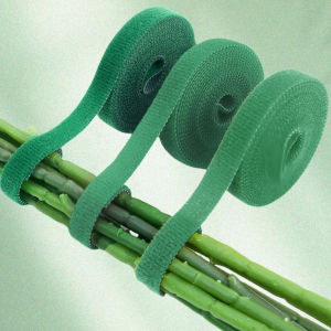 30PCS Garden Cloches Reusable Plant Bell Cover for Seedling Protective Cover Shield Plant From Bird Snail Garden Supplies