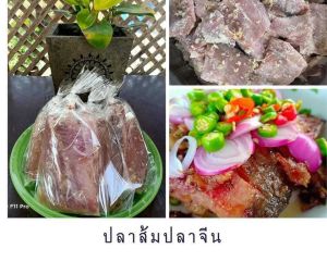 🐟💥 ปลาส้มปลาจีน – เปรี้ยวกำลังดี นัวสุดใจ! "ปลาร้าดีปลาร้าสิงห์บุรี" ปลาส้มหมักสูตรโบราณจากปลาจีนเนื้อแน่น 🐟