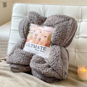 Chăn Lông Cừu Kiểu Nổ Chăn Phủ Đa Chức Năng Dày Dặn Màu Trơn Bán Buôn Chăn Lông Cừu Hai Lớp Ngoại Thương Xuyên Biên Giới