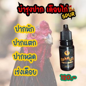ทาปาก ทาเดือยไก่ชน สเปอร์