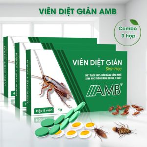 Combo 3 hộp viên diệt gián sinh học AMB thuốc diệt gián Đức hiệu quả nhanh chóng an toàn sức khỏe hộp 8 viên