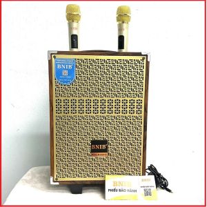 Loa kéo Bluetooth chính hãng BNIBM9-bass 20 kèm 2 mic không dây