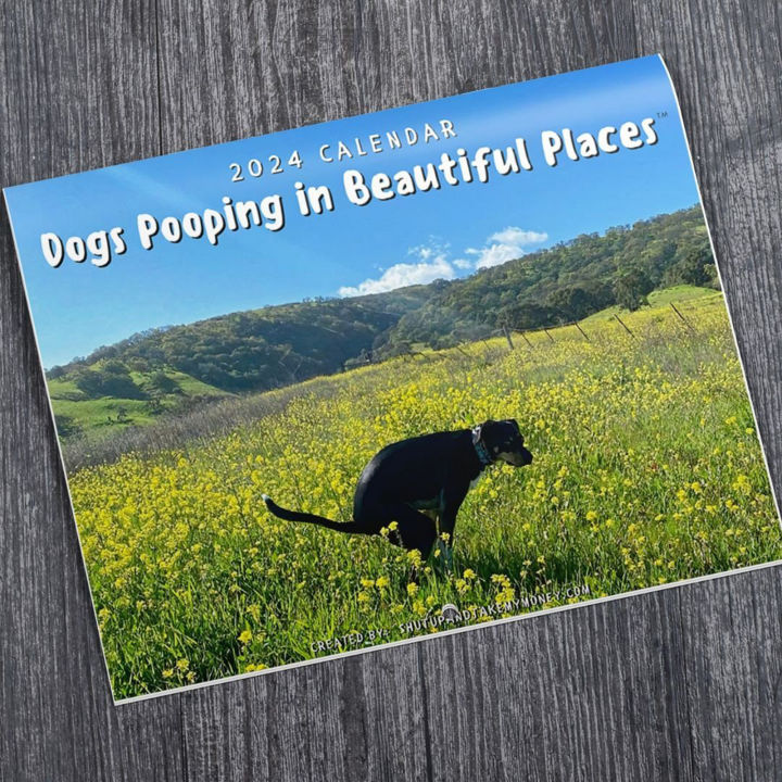 2024 Calendar Dogs Poop In Beautiful Places Wall Calendar 2024 Calendar