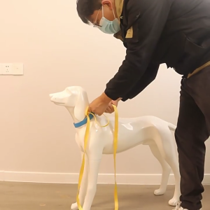 Dây Xích thú cưng Cho Allsize Chó Wovenbelt Chó Dẫn Cho Ngoài Trời Tay Phát Hành Dây huấn luyện Dây Xích thú cưng Dẫn Cho Vừa Giống