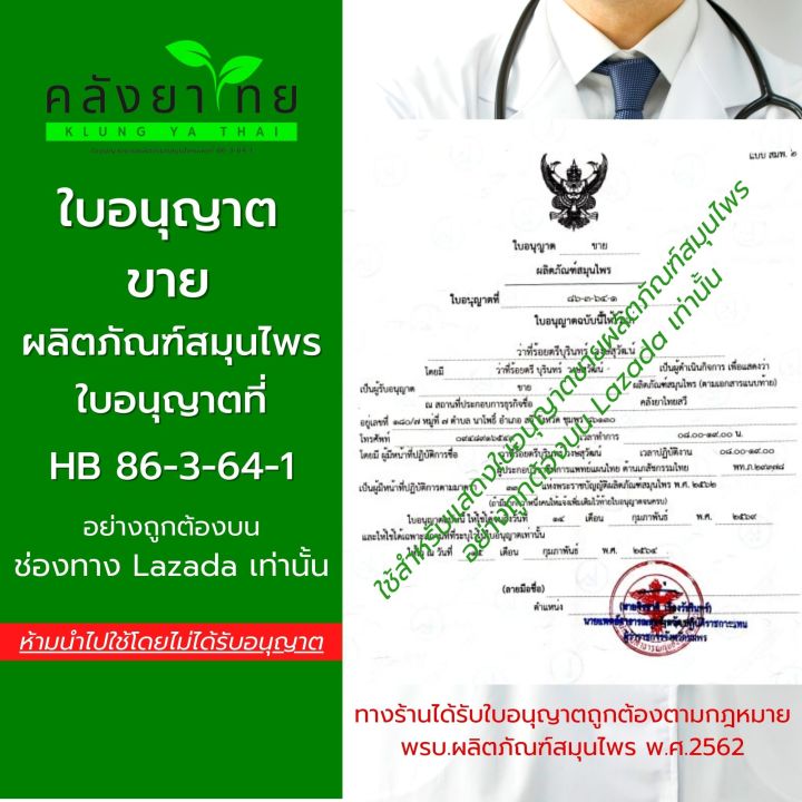 [แพ็ค 3 ขวด] ยาหม่องเขียวตราทองทรงไทย Thong Song Thai 30 กรัม/ขวด ...