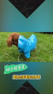 เสื้อกันฝนสุนัขสัตว์เลี้ยงสะท้อนแสงเหมาะสำหรับผ้ากันเปื้อนลูกสุนัขสุนัขขนาดใหญ่ขนาดกลางและขนาดเล็กกันลมและกันน้ำ