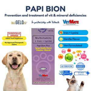 PAPI BION PLUS MULTIVITAMINS + IRON + LYSINE SYRUP FOR DOGS & CATS 120ML