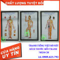 Tranh châm cứu huyệt vị.