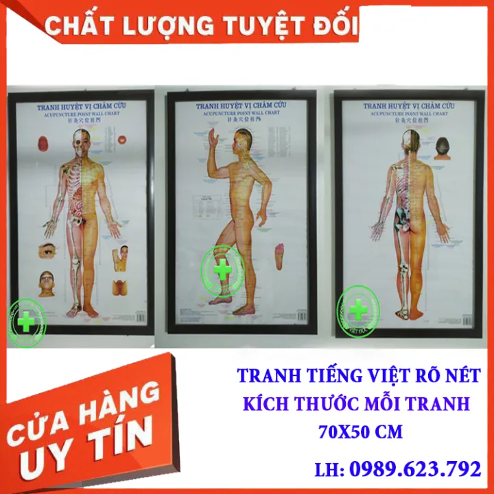 Tranh%20ch%C3%A2m%20c%E1%BB%A9u%20huy%E1%BB%87t%20v%E1%BB%8B%20-%20Image%201