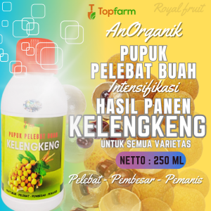 Pupuk Buah Khusus Kelengkeng / Pupuk Buah Kelengkeng Super Lebat / Pupuk Pelebat Buah Kelengkeng / Pupuk Booster Buah Kelengkeng