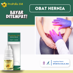 Obat Hernia Obat Hernia Turun Berok Obat Hernia Inguinalis Obat Penghilang Benjolan Hernia Obat Usus Menonjol Obat Benjolan Di Pusar Obat Pembengkakan Benjolan Obat Pengecil Benjolan Di Selangkangan Dengan Propolis SM