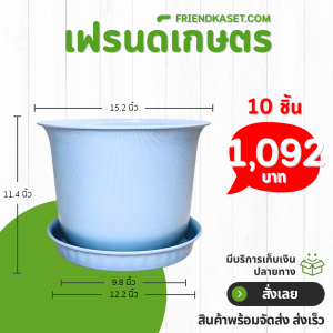 กระถาง กระถางต้นไม้ มินิมอล ถ้วยจีน+จาน ขนาด 15 นิ้ว สีฟ้าพาสเทล 10 ใบ ชิ้น อัน