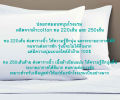 ปลอกหมอนหนุนโรงแรม ผ้าCotton ทอ220 และ 250เส้นด้าย สีขาวเรียบ. 