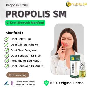 Obat Sakit Gigi Bolong Obat Sakit Gigi Obat Sakit Gigi Dan Gusi Obat Gusi Bengkak Dan Nyeri Obat Sariawan Obat Bibir Pecah Pecah Obat Sariawan Di Lidah Obat Penghilang Bau Mulut - Propolis Sm Brazil Original