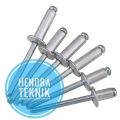 ISI 100PC PAKU RIVET 429 / 435 / 440 / 450 / 540 / 550 / 649 / 665 / 675 ALUMINIUM BLIND RIVET 3,2MM 4MM 4.8MM PAKU RIPET 8mm 9,5mm 11mm 12,7mm 15,7mm 19mm KELING RIFET. 