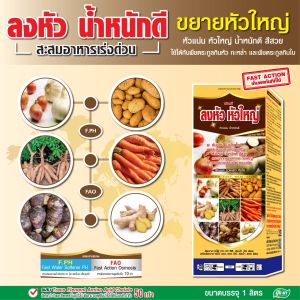 ลงหัว ห่อหัว เร่งลงหัว หัวใหญ่ หัวแน่น น้ำหนักดี พืชลงหัว มันสำปะหลัง ปุ๋ยยา หลายขนาด