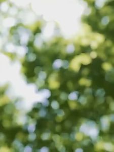 XIAOMI MIJIA Portablr Mixer Electric Mini Blender Fruit Vegetables Quick Juicing Kitchen Food Processor Fitness Travel