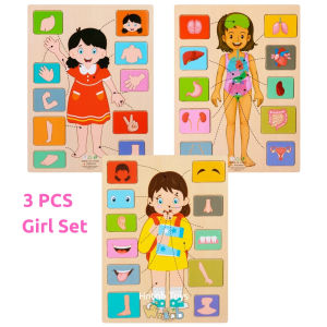 Hntob Set Of 3pcs Wooden Anatomy Organs Human Puzzle Facial Features Body Kids Educational Toy