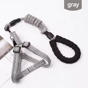 Dây dắt chó 1.2M Bộ Dây Xích Cho chó nhỏ Có Thể Điều Chỉnh Puppy Mèo Trọng Lượng Nhẹ Mềm Áo dắt thú cưng ngoài trời thoải mái thú cưng đi bộ Dây Xích Cho Vật Nuôi