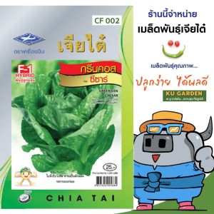 CHIATAI 🇹🇭 ผักซอง เจียไต๋ F002 # กรีนคอสซีซาร์ จำนวนประมาณ 1000 เมล็ด กรีนคอส สลัด เมล็ดพันธุ์ผัก เมล็ดผัก เมล็ดพืช ผักสวนครัว