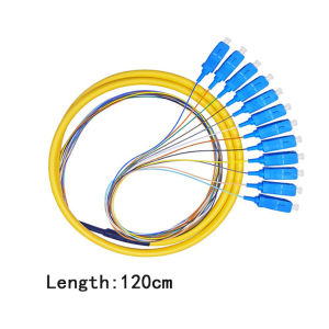 1.2m 12 Cores Fiber Optic Pigtail SC/UPC 3mm Multiple Shares Square Head Fiber Jumper