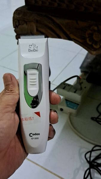 Buyer review video 5