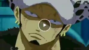 Áo choàng của nhân vật Trafalgar Law trong bộ anime được mặc hai năm sau sự kiện chính. cosplay Quần áo có mũ trùm đầu.