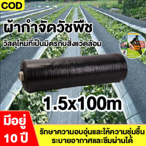 พลาสติกคลุมดิน ผ้าคลุมดิน พลาสติกคลุมหญ้า ฆ่าหญ้า 50 เมตร 100 เมตร คลุมวัชพืช ผ้าคลุมหญ้า กําจัดหญ้า