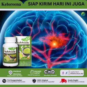 Obat Penyempitan Syaraf Otak Obat Herbal Syaraf Otak Atasi Masalah Pada Syaraf Otak Pendarahan Di Otak Sering Pusing Kleyengan Vertigo Migrain Radang Otak Nutrisi Otak Penambah Daya Ingat Mencerdaskan Otak - Keloreena Original