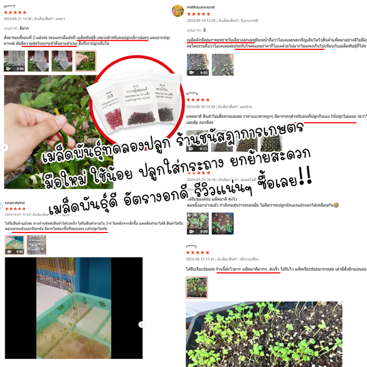 ⚡️⛓javascript visualized: scope (chain) | learn... ⚡️ติดตามลด50%⚡️ เมล็ดพันธุ์ไม้ป่า ไม้เศรษฐกิจ แบ่งขาย สำหรับทดลองปลูก ...