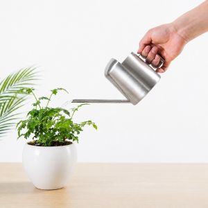 CHLOCH Vòi dài Bình tưới cây Thép không gỉ Chống gỉ sét Bình tưới cây bằng loại. Bền bỉ Cây cảnh bonsai Cây xanh