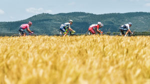 LAYOTO Spot Celana Bersepeda Celana Sepeda Padding 9D Gel Eprotection Celana Sepeda Gunung Celana Pendek Kaos Bersepeda Bernapas