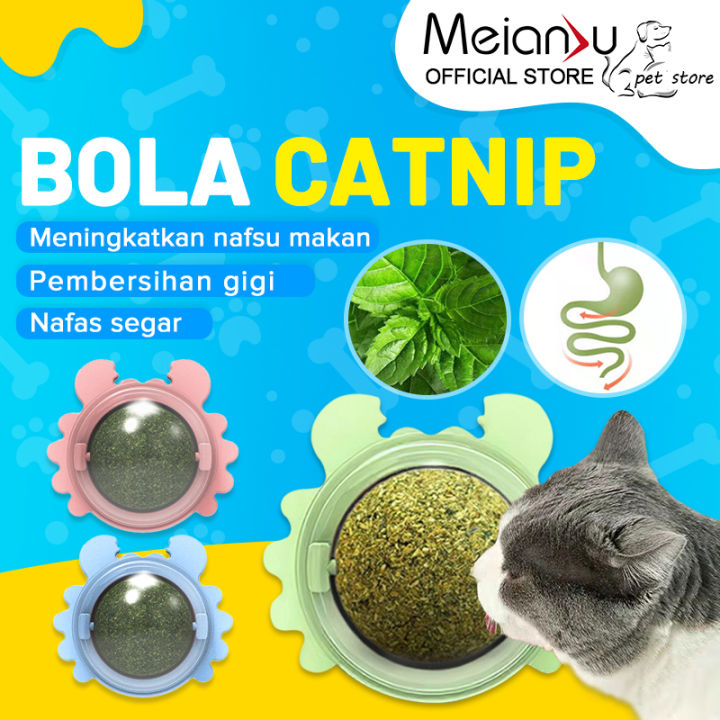 MEIANVU Catnip cat mint ball cat snack treats toy ball | Lazada PH
