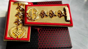 PANGKAT ASN SULAWESI GOL 3D BORDIR LIST MERAH