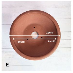 The Leaferie Bonsai Pot (Series 5) 5 sizes Tray . Plant pot . Zisha . Flowerpot . Planter . flower pots