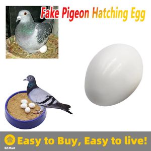 【Fast Shipping】 Fake Eggs Plastic Pigeon Egg Solid Pigeon Fake Egg Pigeon Hatching Supplies Pigeon-False-Egg-Solid