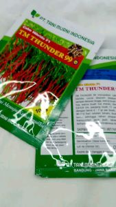 Benih Cabe Keriting Hibrida Merah TM THUNDER 99 10 gram Tani Murni