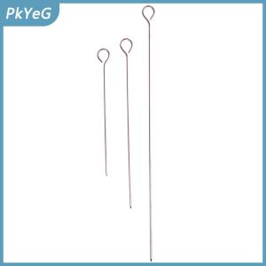 PkYeG 10 cái thịt ngỗng tròn nướng xiên que thép không gỉ BBQ kim