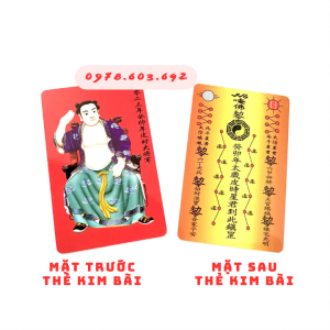 Kim Bài Thái Tuế Cho Người Tuổi Tý Ngọ Mão Dậu Thìn - Bằng Nhựa - SP006052