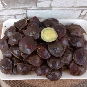 Jengkol Muda Netto 500gram /1 kg
