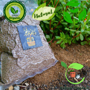 Baja Kulit Pisang Halus/Serbuk 1000g 100% Banana peel