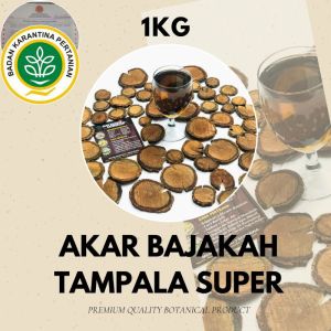 Akar Kayu Bajakah Tampala Super Asli 1 kg 100% Original Kalimantan