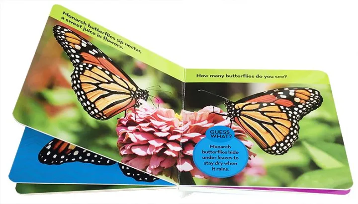 National%20Geographic%20Kids%20Look%20and%20Learn:%20Bugs%20(Look%20&%20Learn)%20Board%20book%20%E2%80%93%20Picture%20Book%20by%20National%20Geographic%20Kids%20Original%20English%20books%20-%20Image%203