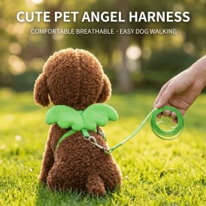 XIJIBAN Angel Wings Dog Cat Leashes 120CM Green Puppy Leash Collar Cute Lightweight Pet Harness For Pet Outdoor Walking